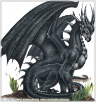 /album/galerie-des-dragon-/black-dragon-jpg/